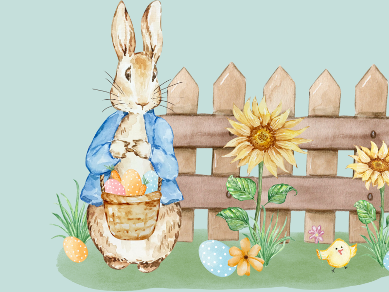 Peter Kanin foran et hegn med solsikker