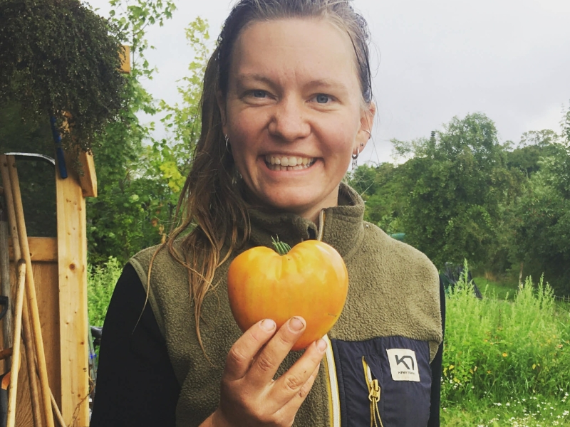 Marie Boesen fra Høsteriet ved Aarhus fremviser en hjerteformet tomat